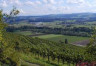 Thurgauer Rebenweg (1/1)